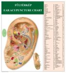 Ear Acupuncture Chart (VAT NOT included)