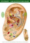 Ear Acupuncture Mini Chart (size A4)